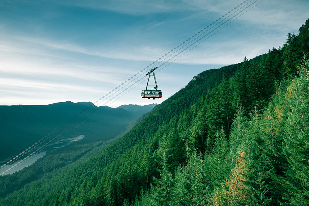 Forest with gondola